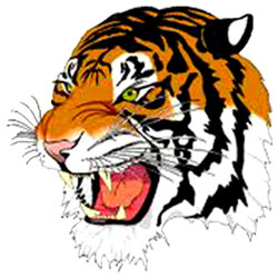 beaver_falls_tigers.png Logo