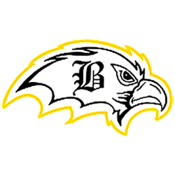 brownsville_falcons.png Logo