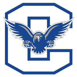connellsville_falcons.png Logo