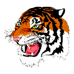mckeesports_tigers.png Logo