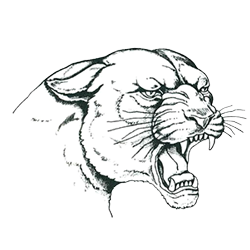 riverside-panthers.png Logo