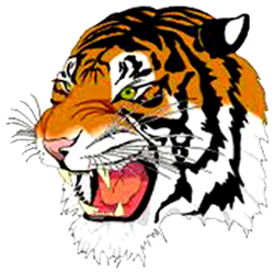 beaver_falls_tigers.png Logo