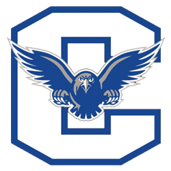 connellsville_falcons.png Logo