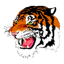 mckeesports_tigers.png Logo